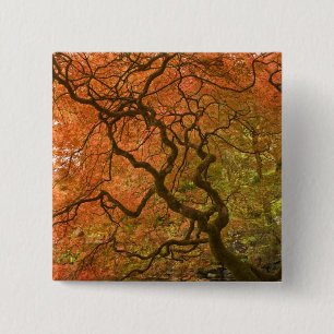 CANADA, British Columbia, Victoria. Herbst 2 Button