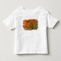 CANADA, British Columbia, Victoria. Herbst 2