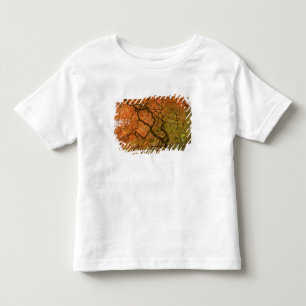 CANADA, British Columbia, Victoria. Herbst 2 Kleinkind T-shirt