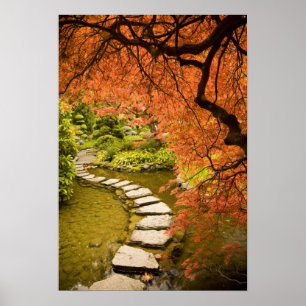 CANADA, British Columbia, Victoria. Herbst Poster