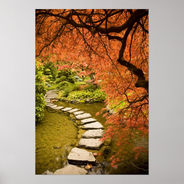CANADA, British Columbia, Victoria. Herbst Poster (Vorne)