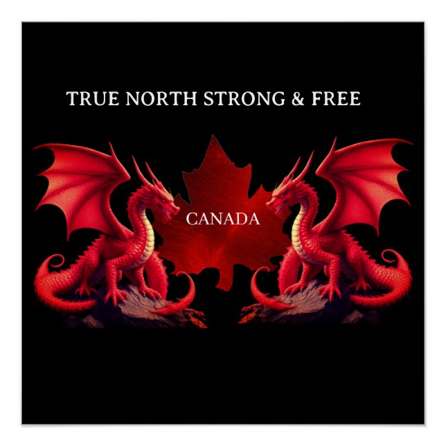 CANADA DOUBLE DRAGONS POSTER (Vorderseite)