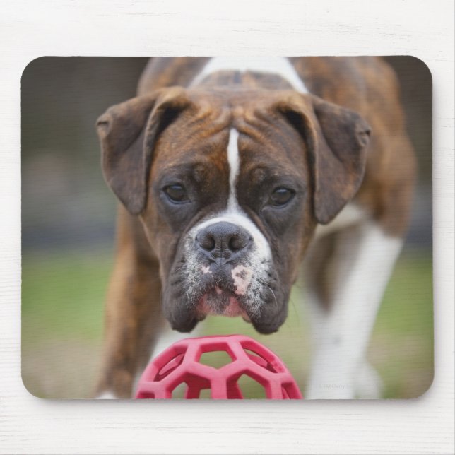 Canada edmonton alberta mousepad (Vorne)