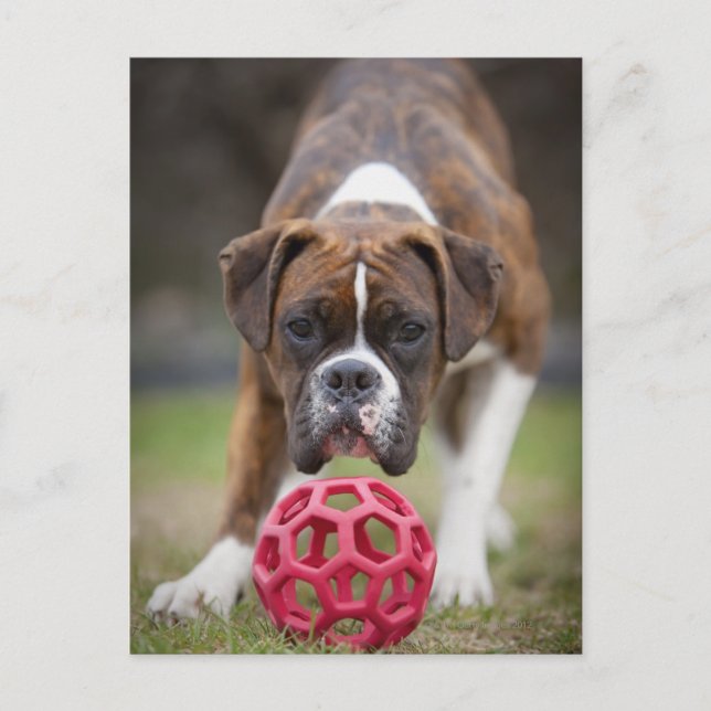 Canada edmonton alberta postkarte (Vorderseite)