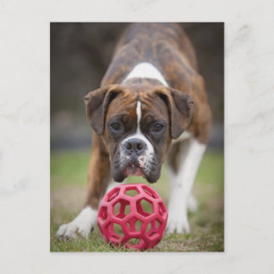 Canada edmonton alberta postkarte