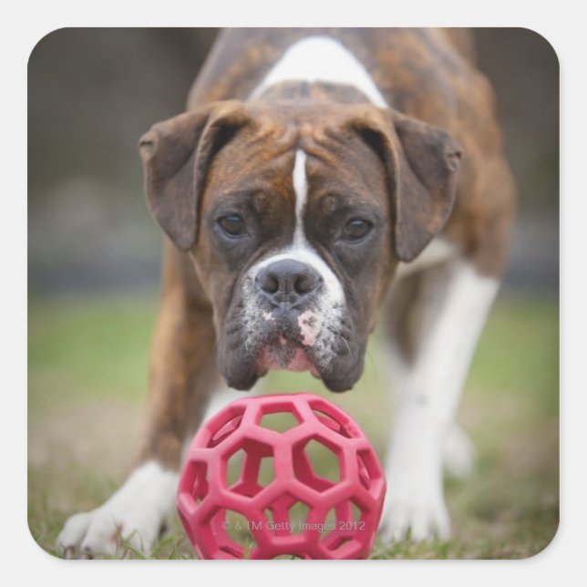 Canada edmonton alberta quadratischer aufkleber (Vorderseite)