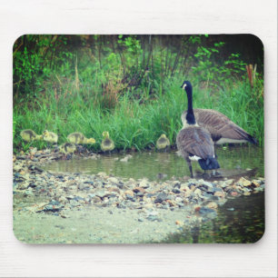 Canada Gans Family Babies Nature Mousepad