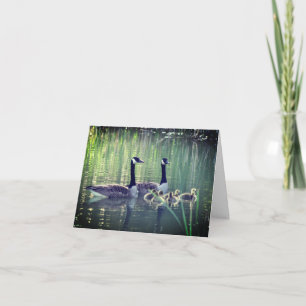 Canada Gans Family Nature Note Card Dankeskarte