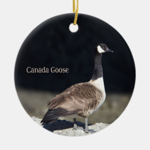 Canada Gänse Foto Ornament