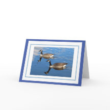 Canada Gänse Greetings Card