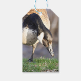 Canada Goos Geschenkanhänger