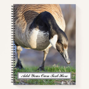 Canada Goos Notizbuch