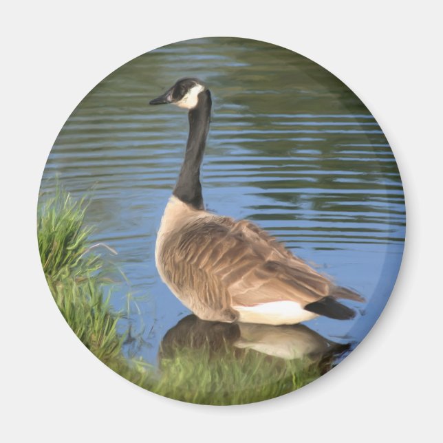 Canada Goose Animal Art Magnet (Vorne)