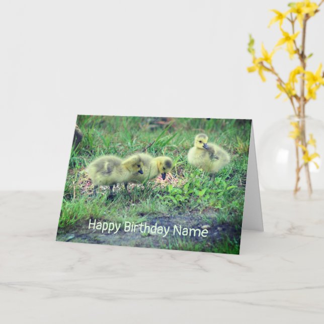 Canada Goose Babies Nature Birthday Card Karte (Gelbe Blume)