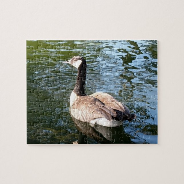 Canada Goose Closeup Puzzle (Horizontal)