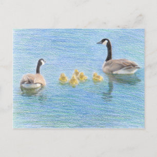 Canada Goose Family Fine Art Nature Postcard Postkarte
