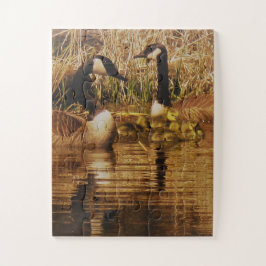 Canada Goose Family Niedlich Babies Goslings Gänse Puzzle