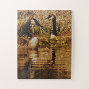 Canada Goose Family Niedlich Babies Goslings Gänse Puzzle