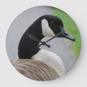 Canada goose große wanduhr