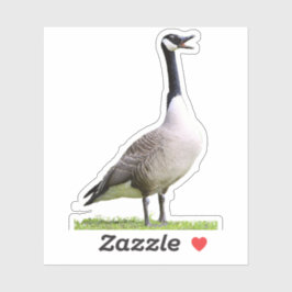 Canada Goose Honking Aufkleber