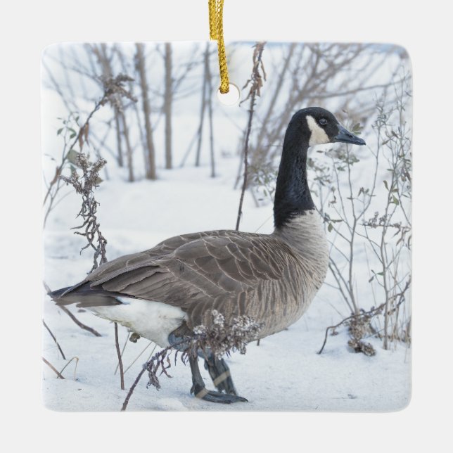 Canada Goose in Snow Ornament (Vorderseite)