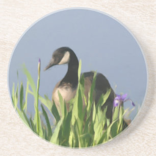 Canada Goose Iris Painting Animal Untersetzer