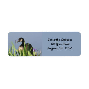 Canada Goose Irises Animal Art Address
