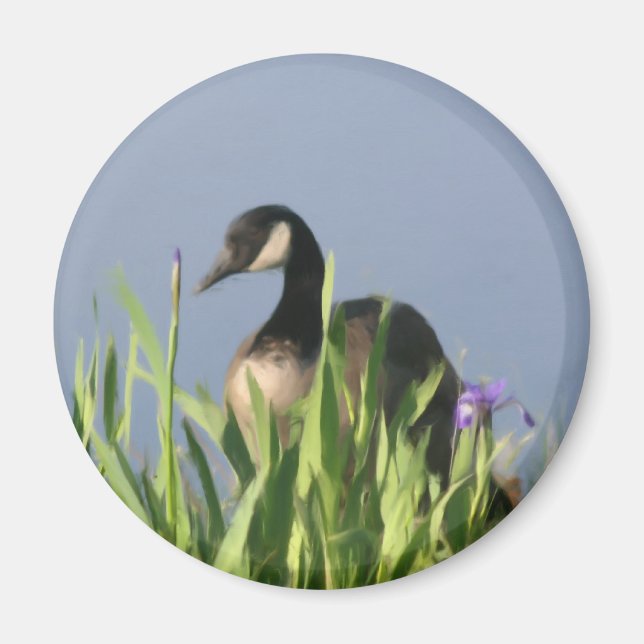 Canada Goose Irises Animal Art Magnet (Vorne)