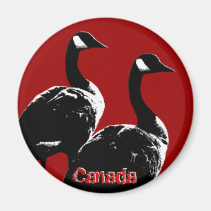 Canada Goose Magnet Canada Souvenir Kühlschrankmag
