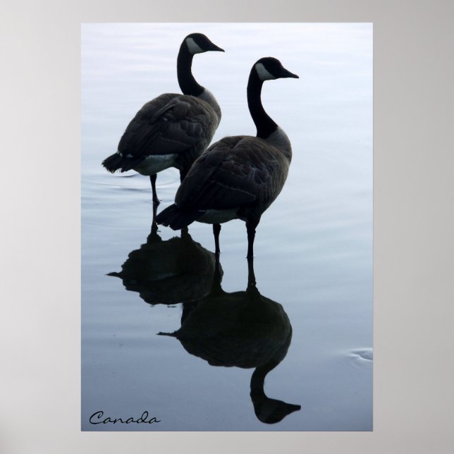 Canada Goose Poster Custom Canada Souvenir Poster (Vorne)
