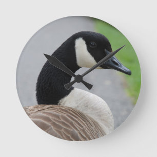 Canada goose runde wanduhr