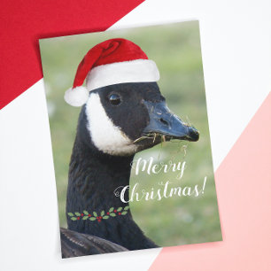 Canada Goose Wearing Santa Hat Holiday Feiertagskarte