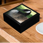 Canada Goose Wildlife Foto Erinnerungskiste<br><div class="desc">Für Tier- und Naturliebhaber! In dieser hölzernen Geschenkboxen können Sie Schmuck,  Schmuck und andere kleine Kuchen mit Keramik-Kacheln aufbewahren,  die das Foto eines wunderschönen Kanadengas zeigen. Wählen Sie Ihre Geschenkboxen und Farbe.</div>