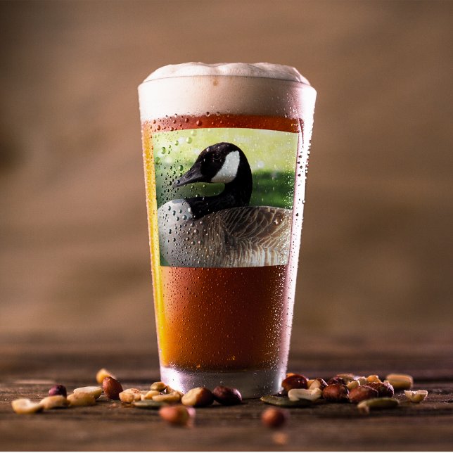Canada Goose Wildlife Foto Glas (In Situ Beer)
