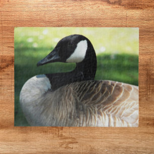 Canada Goose Wildlife Foto Puzzle