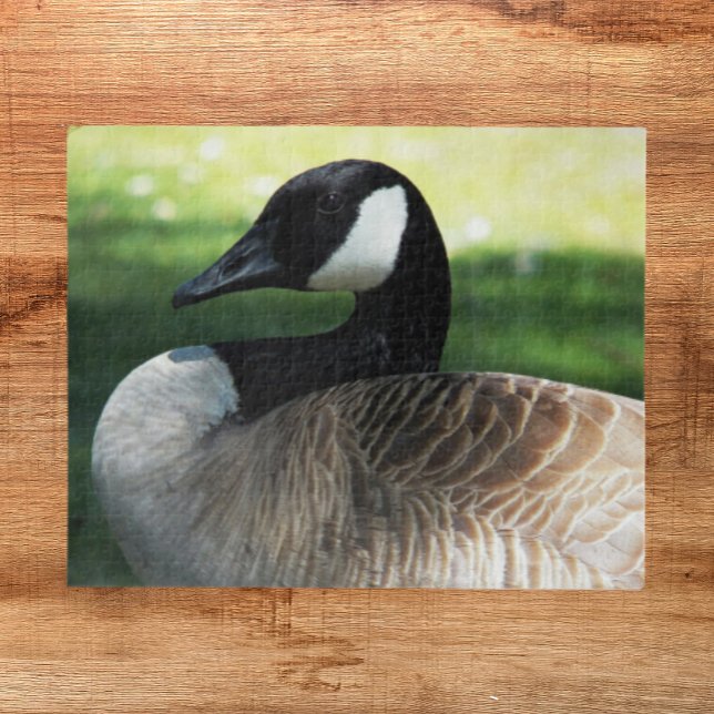 Canada Goose Wildlife Foto Puzzle (In Situ)