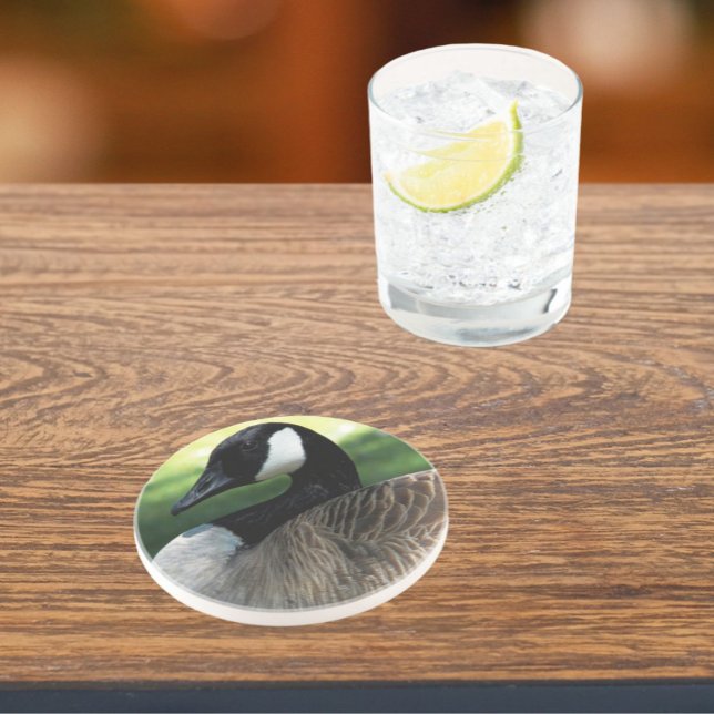 Canada Goose Wildlife Foto Sandstone Getränkeuntersetzer (In Situ)