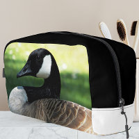 Canada Goose Wildlife Foto