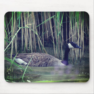 Canada Goose Wildlife Nature Mousepad