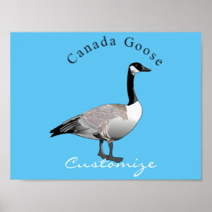 Canada Gose Gander Thunder_Cove Poster