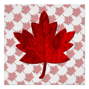 Canada-Maple Leaf by Shirley Taylor Poster
