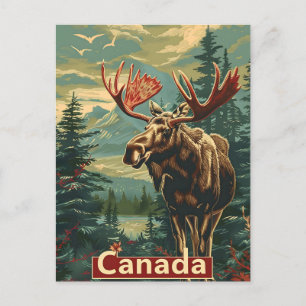 Canada Moose Vintag Postkarte