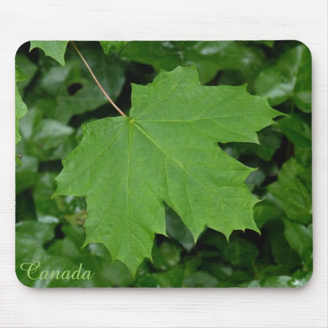 Canada Souvenir Mousepad Canada Maple Leaf Geschen (Vorne)