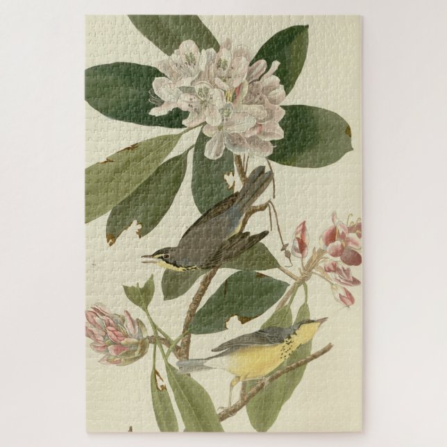 Canada Warbler von Audubon's Birds of America Puzzle (Vertikal)