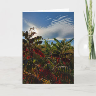 Canadian Autumn Colors Blank Card Karte