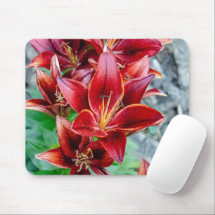 Canadian Beauty: Red Stargazer Lily Fotografy Mousepad