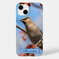 Canadian Brown Bohemisch Waxwing Bird Fotografy