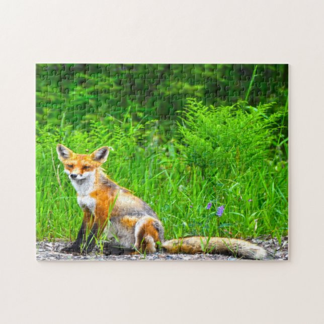 Canadian Fox Puzzle (Horizontal)