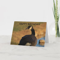 Canadian Gans Birthday Card
