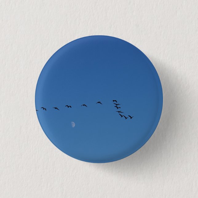 Canadian geese in flight button (Vorderseite)